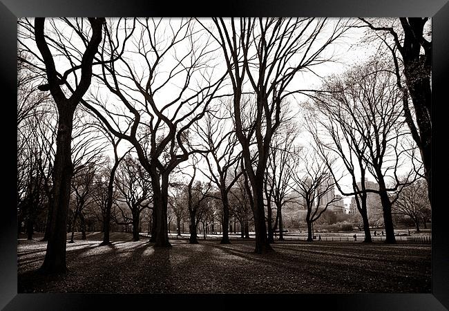 Central Park New York Framed Print by Simon Wrigglesworth
