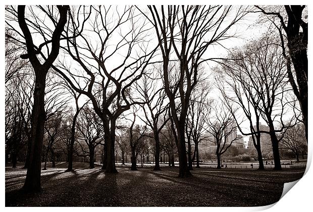 Central Park New York Print by Simon Wrigglesworth