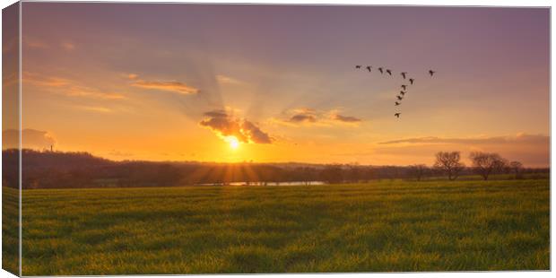 A sunset over fields Canvas Print by John Allsop