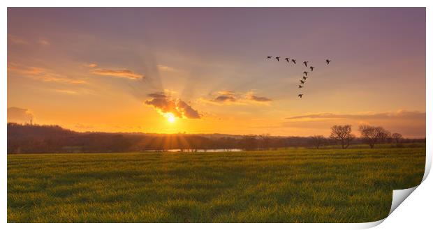 A sunset over fields Print by John Allsop