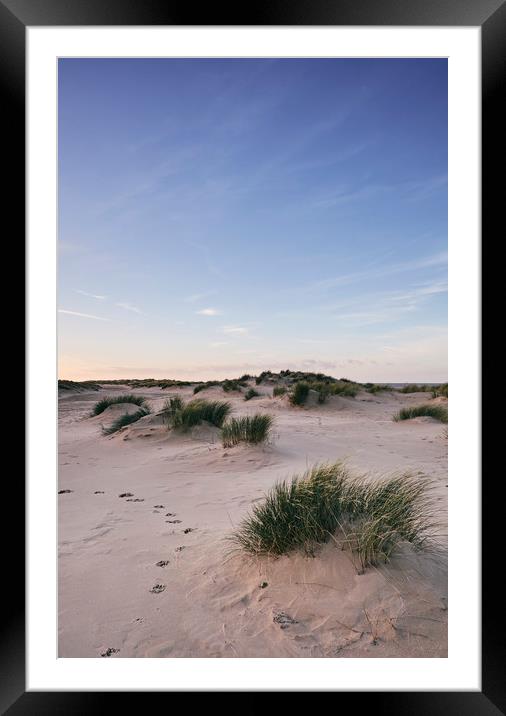 Paw prints in the sand at sunset. Wells-next-the-s Framed Mounted Print by Liam Grant
