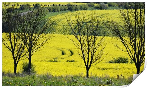 Yellow fields Print by Marja Ozwell