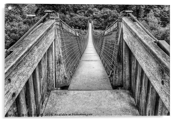 Biblins Footbridge Acrylic by Craig Preedy