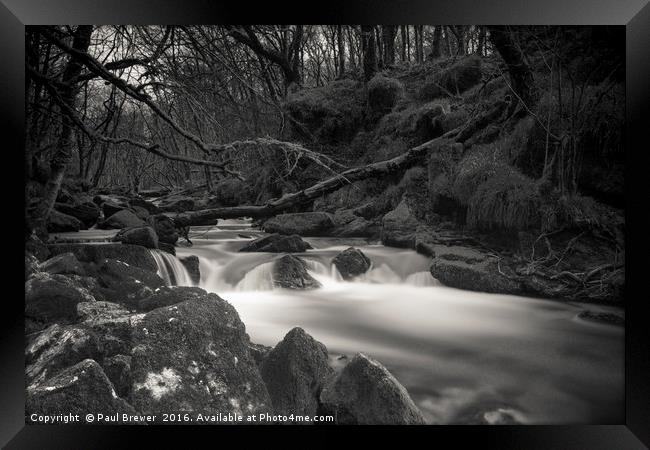 Golitha Falls in Black and White Framed Print by Paul Brewer