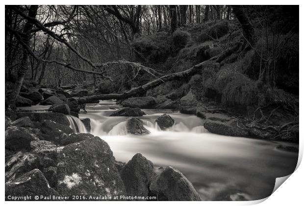 Golitha Falls in Black and White Print by Paul Brewer