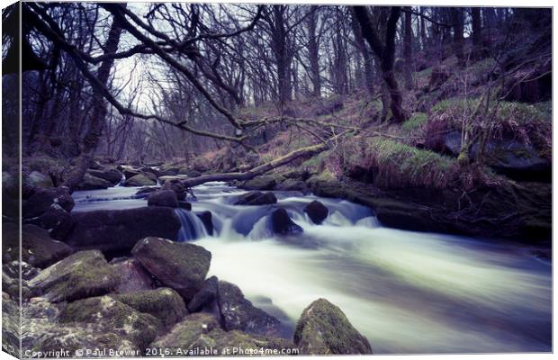 Golitha Falls on Bodmin moor Cornwall Canvas Print by Paul Brewer