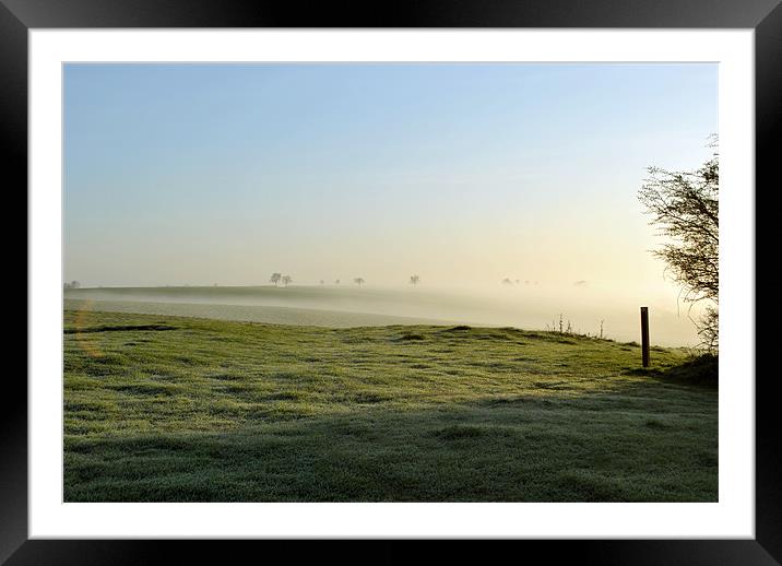 Dawn Mist Framed Mounted Print by graham young