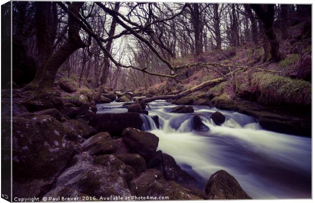 Golitha Falls on Bodmin moor Cornwall in Spring 20 Canvas Print by Paul Brewer