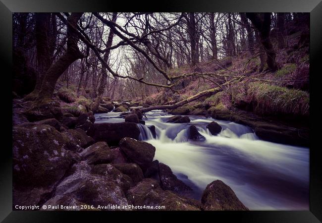 Golitha Falls on Bodmin moor Cornwall in Spring 20 Framed Print by Paul Brewer