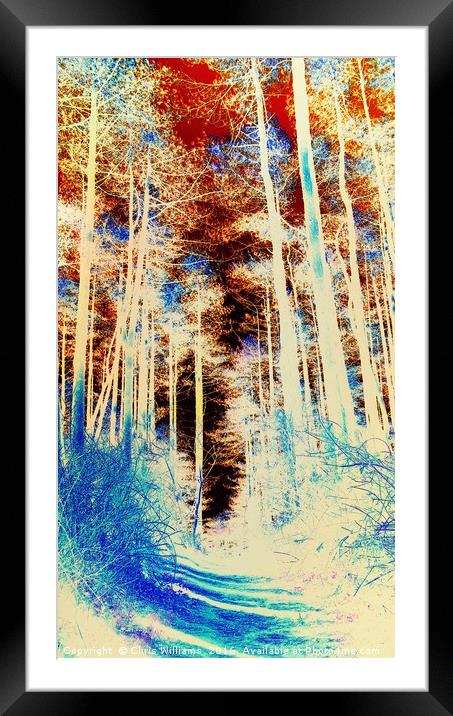 Forest Footpath  Framed Mounted Print by Chris Williams
