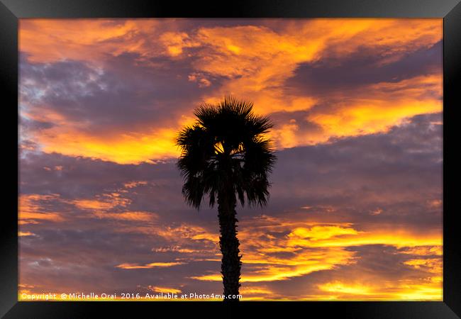 Palm Tree sunset Framed Print by Michelle Orai