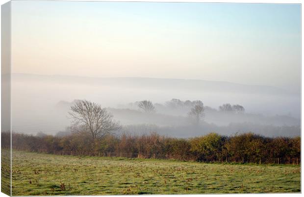 the chilterns in the dawn mist Canvas Print by graham young