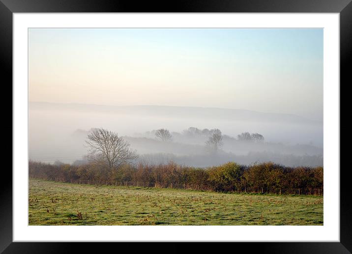 the chilterns in the dawn mist Framed Mounted Print by graham young