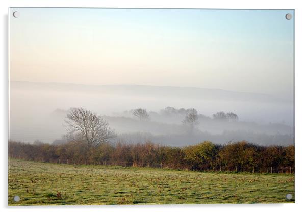the chilterns in the dawn mist Acrylic by graham young