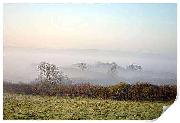 the chilterns in the dawn mist Print by graham young