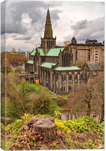 Glasgow Cathedral From The Necropolis Canvas Print by Antony McAulay
