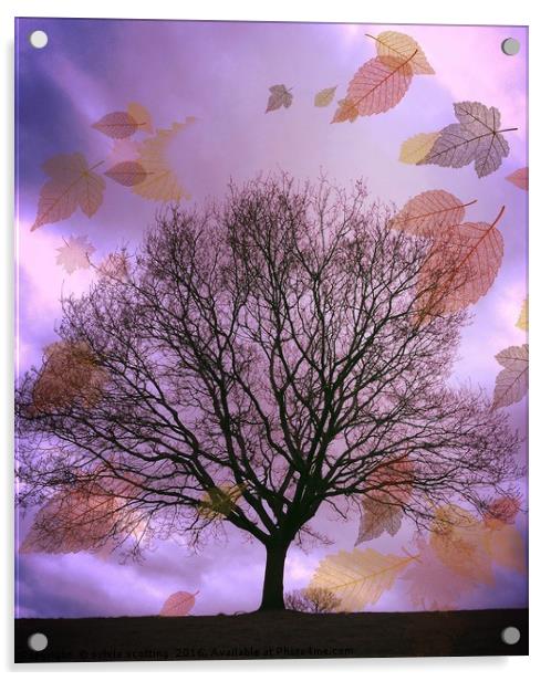 Autumn Leaves Acrylic by sylvia scotting