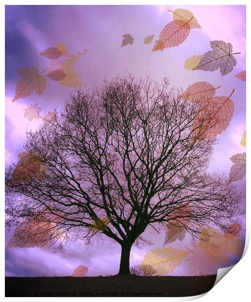 Autumn Leaves Print by sylvia scotting