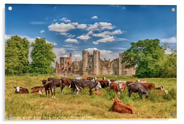 Ruins of Cowdray House Midhurst West Sussex Acrylic by John Boud