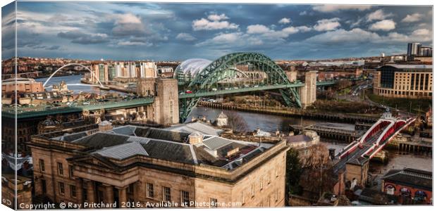 View from Newcastle Castle Canvas Print by Ray Pritchard