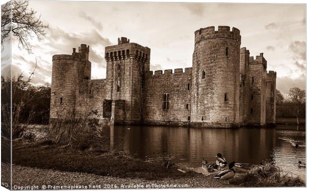 Bodiam Castle with the ducks  Canvas Print by Framemeplease UK