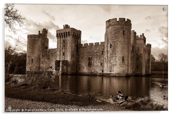 Bodiam Castle with the ducks  Acrylic by Framemeplease UK