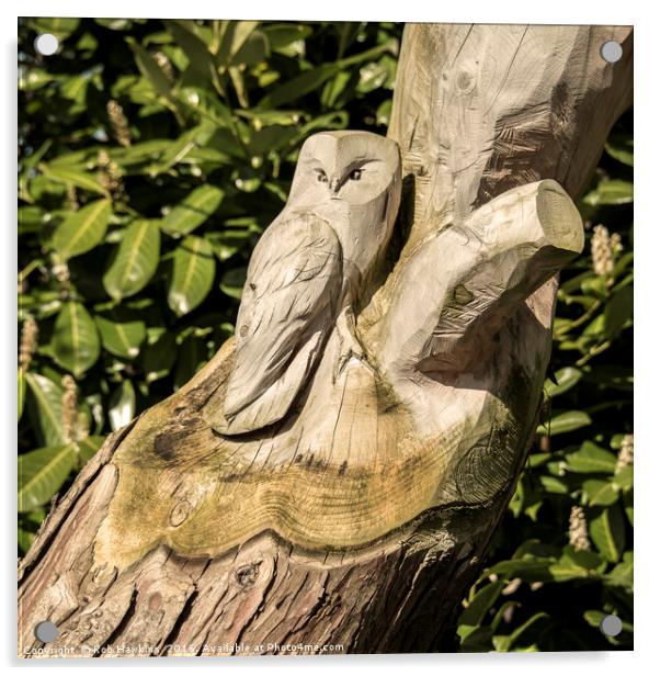 Owl Tree  Acrylic by Rob Hawkins