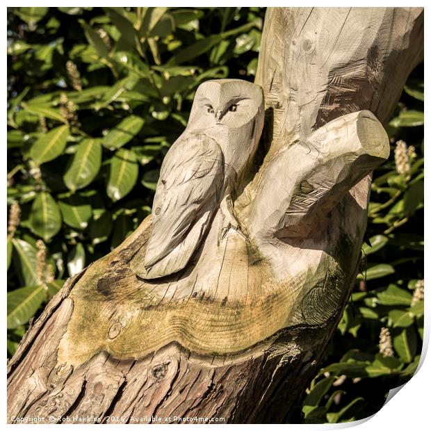 Owl Tree  Print by Rob Hawkins