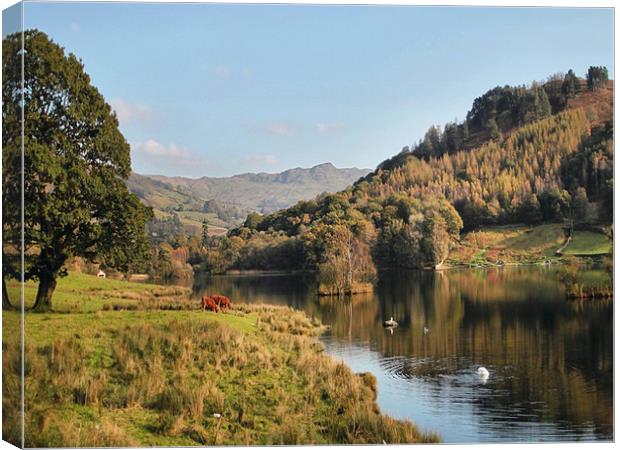 Autumn Rydal Water Canvas Print by Irene Burdell