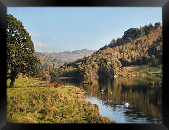 Autumn Rydal Water Framed Print by Irene Burdell