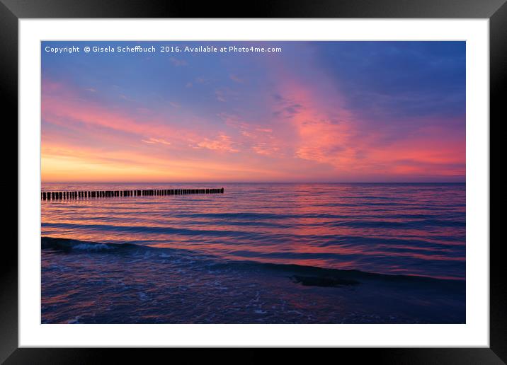 Sunset at the Baltic Sea Framed Mounted Print by Gisela Scheffbuch