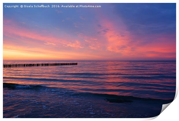 Sunset at the Baltic Sea Print by Gisela Scheffbuch