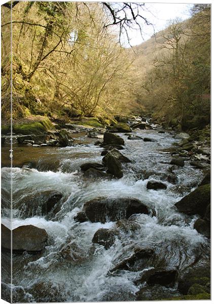 The East Lyn River near Lynmouth Canvas Print by graham young