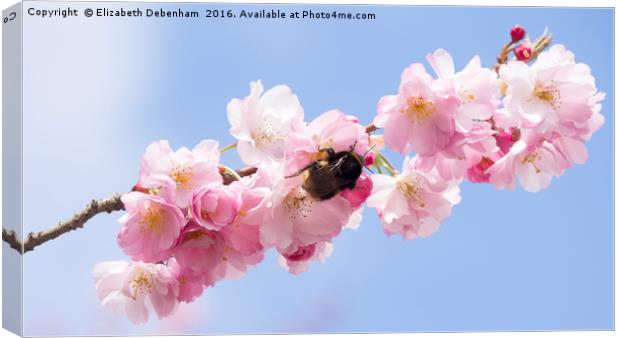 Spring Blossom with Bumblebee Canvas Print by Elizabeth Debenham