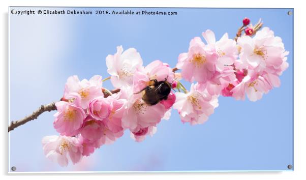Spring Blossom with Bumblebee Acrylic by Elizabeth Debenham