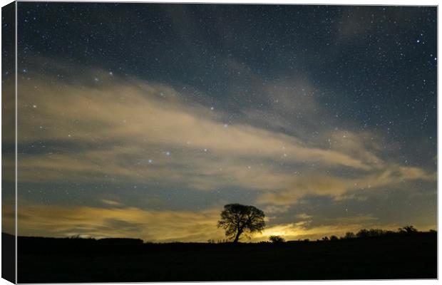 Ursa Major and clouds. West Acre, Norfolk, UK. Canvas Print by Liam Grant