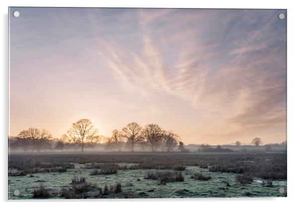 Sunrise and mist on a frosty morning. Norfolk, UK. Acrylic by Liam Grant