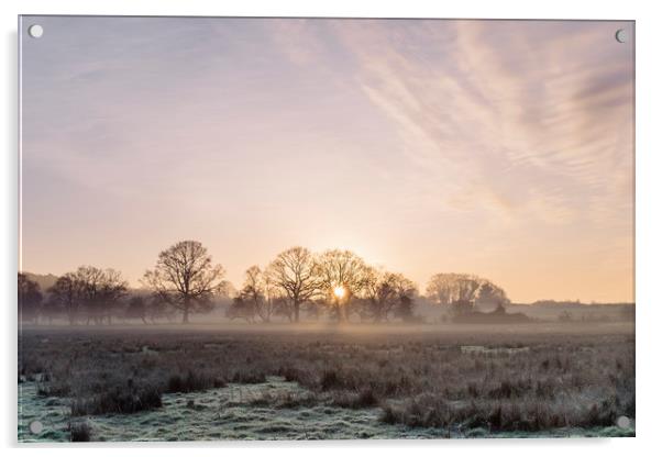 Sunrise and mist on a frosty morning. Norfolk, UK. Acrylic by Liam Grant