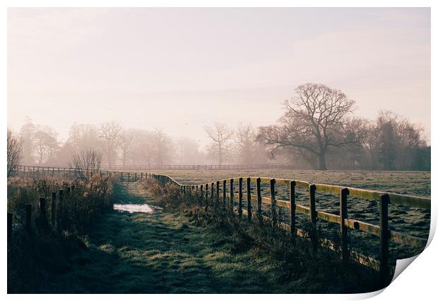 Track beside a fenced field on a frosty morning. H Print by Liam Grant