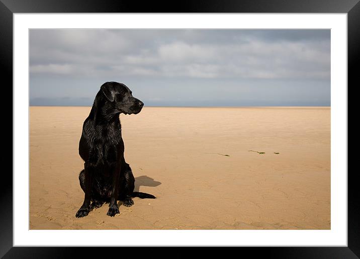 Beach life Framed Mounted Print by Simon Wrigglesworth