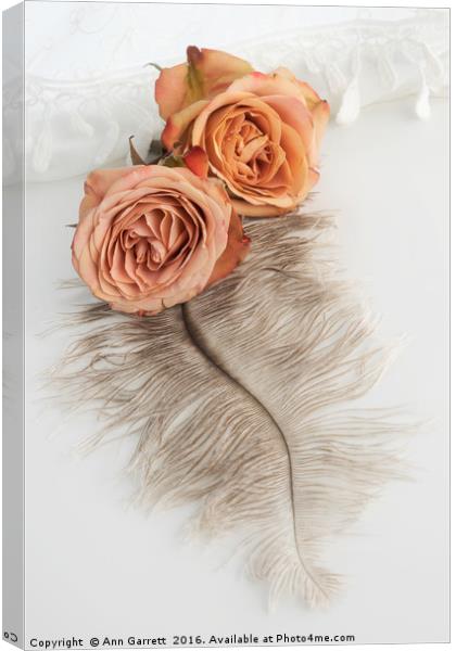 Two Old English Roses and Feather Canvas Print by Ann Garrett
