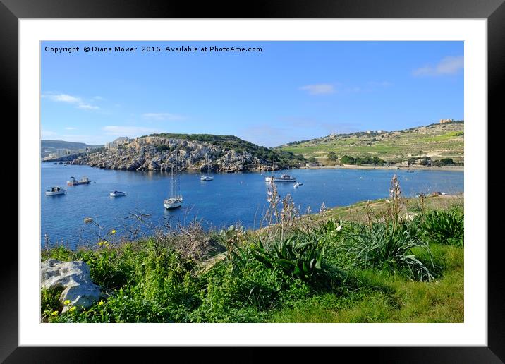 Mistra Bay Malta Framed Mounted Print by Diana Mower