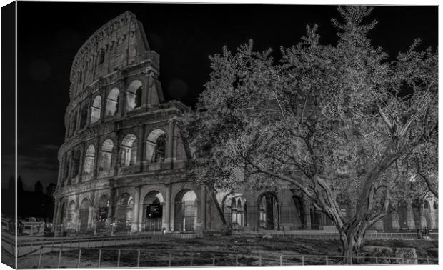 the Colosseum (Black and White) Canvas Print by Paul Andrews