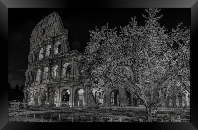 the Colosseum (Black and White) Framed Print by Paul Andrews