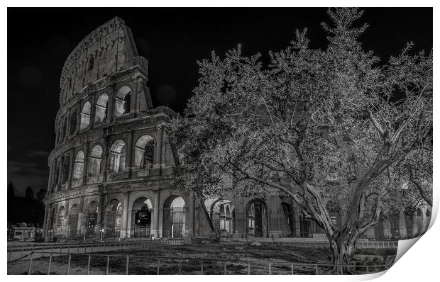 the Colosseum (Black and White) Print by Paul Andrews