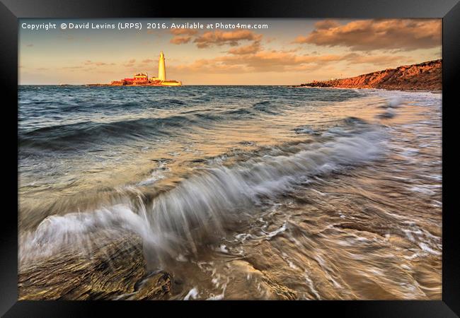 St Mary's Lighthouse Framed Print by David Lewins (LRPS)