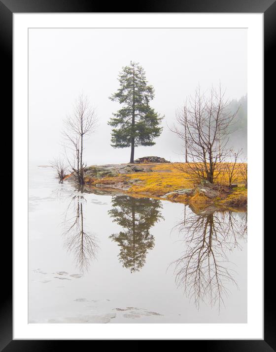Lake In Norway Framed Mounted Print by Clive Eariss