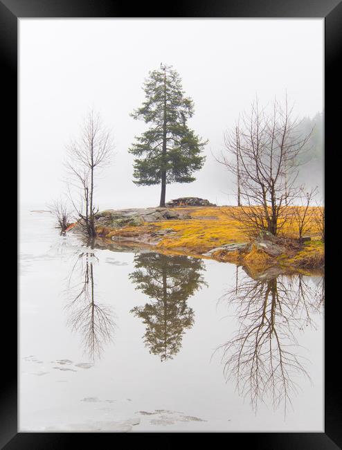 Lake In Norway Framed Print by Clive Eariss