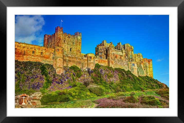 Northumbrian Majesty Framed Mounted Print by David McCulloch