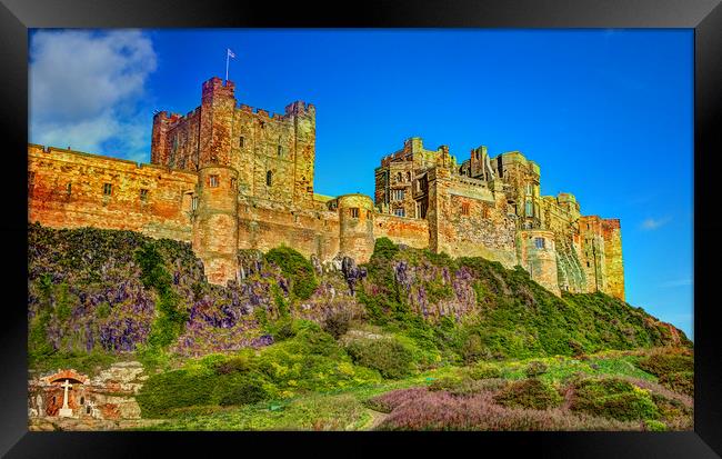 Northumbrian Majesty Framed Print by David McCulloch